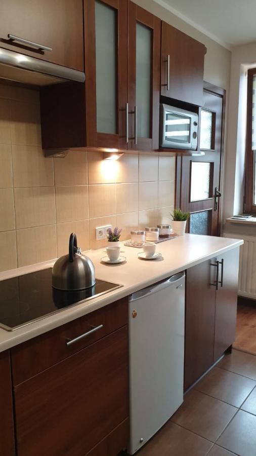 Kaizen Apartament Krynica-Zdrój Exterior foto